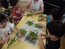 さやから枝豆を取る児童たち