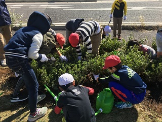 写真：植樹を行う生徒たち