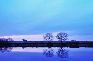 江戸川堤で撮影した松尾次郎さんの風景写真