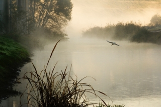 利根運河で撮影した松尾次郎さんの風景写真