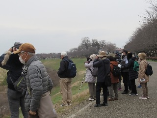 流山をA・RU・KU　春の野鳥観察会