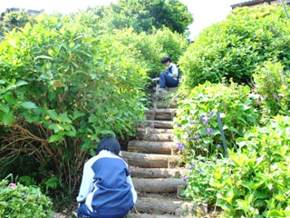 流山高等学園の生徒たちが作って設置した階段