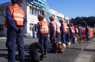 災害救助犬との合同訓練