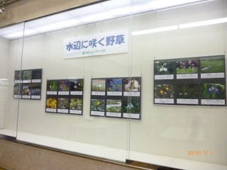 壁に展示された24点の作品の写真