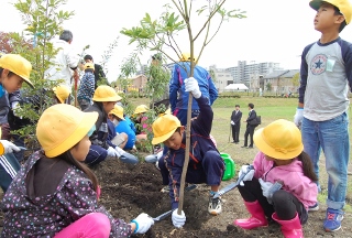 児童が協力して植樹をしている写真