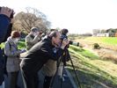 利根運河の野鳥を観察する様子の写真