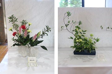 「若葉風」展示