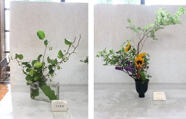 「夏空」展示