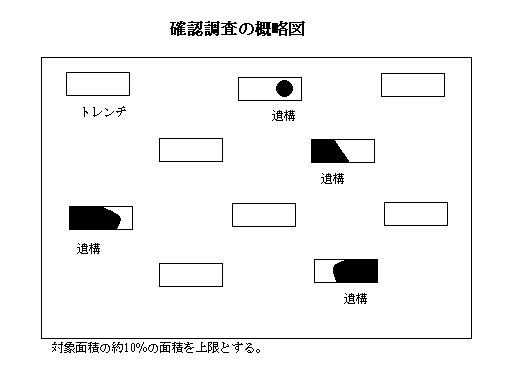 確認調査の概略図のイラスト