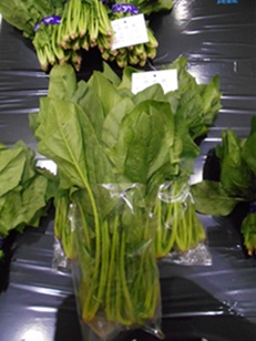 ほうれん草の画像
