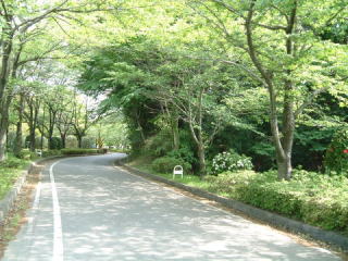 運動公園周辺地区の写真