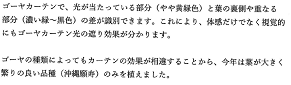個人の部ナンバー3のPRポイント