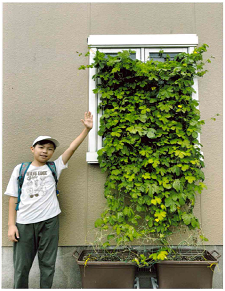 個人の部ナンバー4
