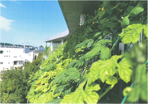 小中学校の部ナンバー1