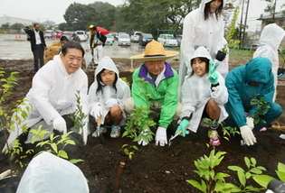 西深井小学校での植樹