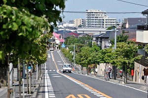 平和台セントラルパークの写真