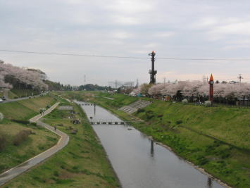 運河水辺公園の写真