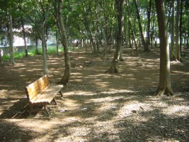 中野久木散策の森の写真