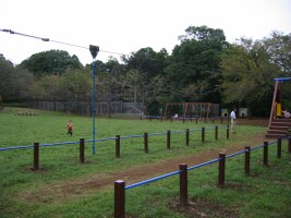 流山市総合運動公園の写真