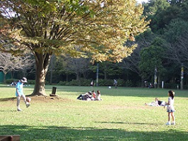 流山市総合運動公園の写真