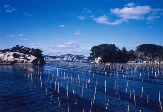 松川浦