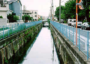 図25　神明堀の臭い（生活排水の流入）の写真