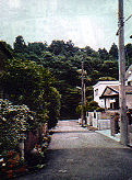 住宅住宅地わきの豊かな緑な様子の写真