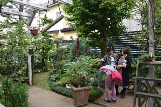 さまざまな植物に出会える庭