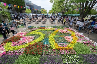 花絵の写真