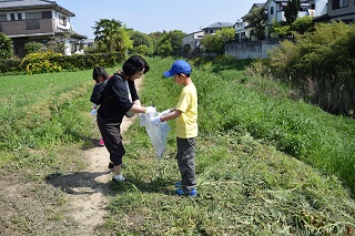 協力してごみを集める参加者