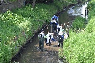 川で深い部分は膝以上になることも