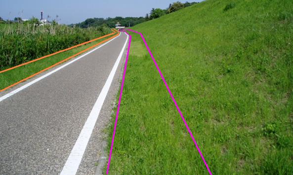 運河水辺公園から西深井歩道までの散策路の脇（ピンク色の区域）・案2と同じ場所で散策路の脇（オレンジ色の区域）の写真