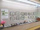 写真:展示会場全体