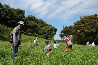 写真:虫取りを楽しむ参加者