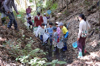 写真:みんなで無視を探します