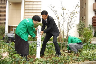 写真：植樹の様子