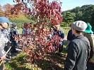 写真：庭木の手入れを学ぶ参加者の皆さん