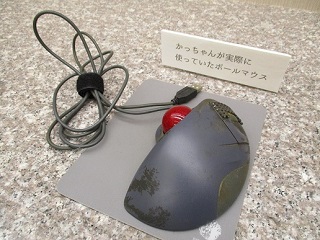 写真：展示されているマウス
