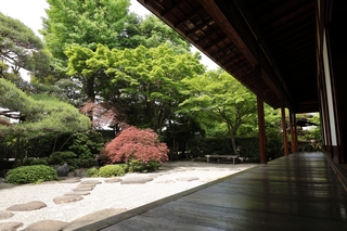 一茶双樹記念館の双樹亭から庭を臨む写真