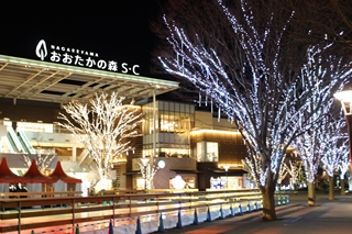 流山おおたかの森駅南口都市広場のイルミネーションの写真