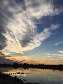 千葉大学大学院生の尾花さんが撮影した江戸川の風景写真