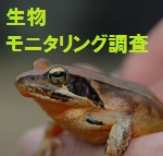 生物多様性ながれやま戦略モニタリング調査結果