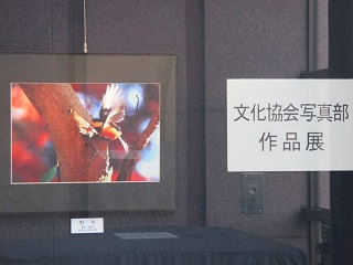写真：市民ギャラリーの展示の様子