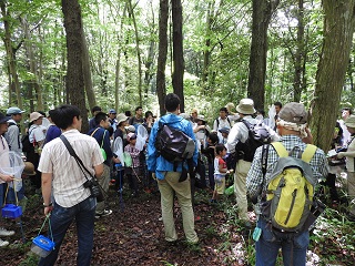 写真：市野谷の森の自然観察会