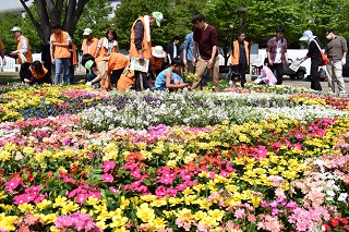 写真：花絵づくりを進めるボランティアの皆さん