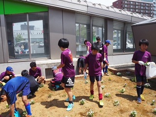 写真：順調に手入れが完了
