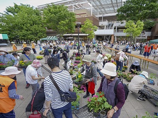 写真：苗の販売の様子