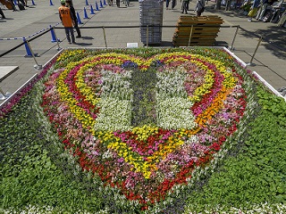 写真：花絵