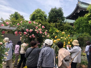 写真：庭の鑑賞に訪れる来場者のみなさん