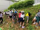 写真：小山小学校4年生によるアジサイの植樹